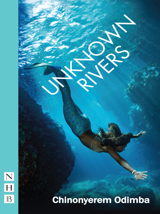Title details for Unknown Rivers by Chinonyerem Odimba - Available